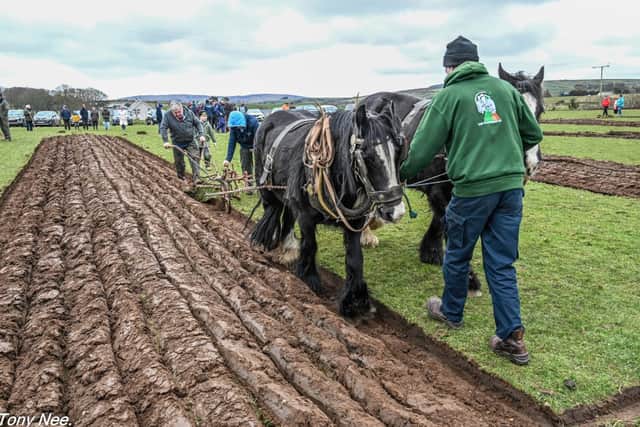 Competitors demonstrating traditional horse ploughing during the Ballycastle & District Horse Ploughing Society’s annual St Patrick’s Day match — the only all-horse ploughing event still held in Ireland.