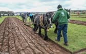 Competitors demonstrating traditional horse ploughing during the Ballycastle & District Horse Ploughing Society’s annual St Patrick’s Day match — the only all-horse ploughing event still held in Ireland.