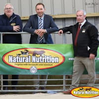 Scottish buyers secure 14,000gns sale leader at NI Charolais export sale