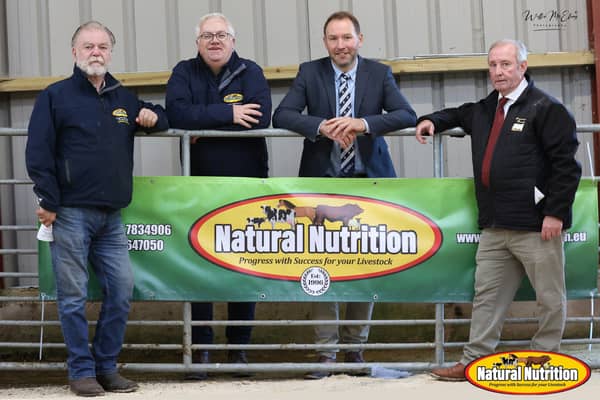 Sponsor Darragh Healy (Natural Nutrition) and Peter Mackin with Judge John MacGregor and Club Chairman Harry Heron