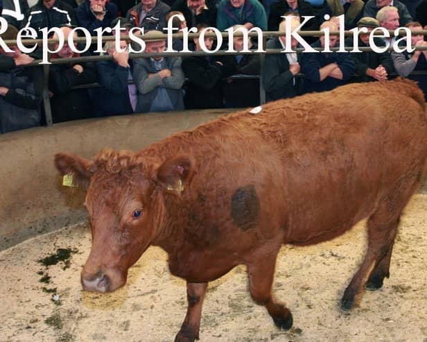 Kilrea Mart