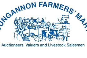 Dungannon Mart 