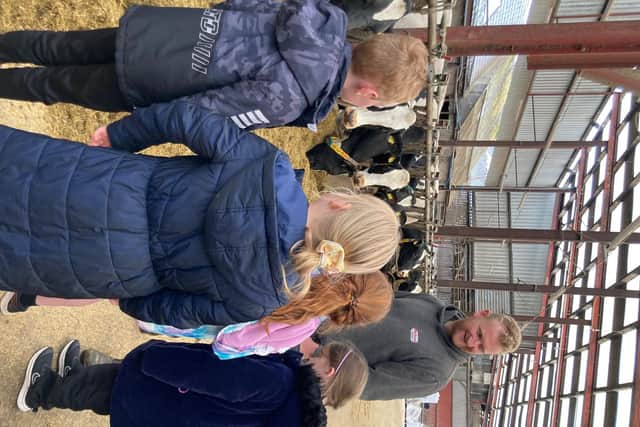 Pupils enjoying their farm visit during the 2022 Bank of Ireland Open Farm Weekend schools’ day.