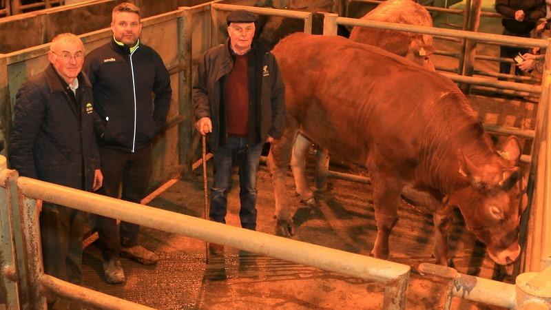 First cow class exhibited by Danny Harrison, pictured with Andrew Jackson and Mark Harrison (Harrison Contracts). Picture: Submitted