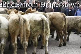 Draperstown Mart