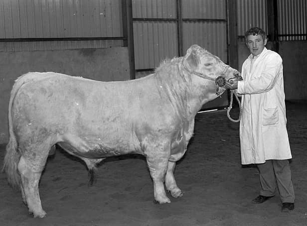 Mr J Hutchinson of Moneymore, Co Londonderry, with his Charolais champion bull at the Automart show and sale in Portadown in October 1982. Picture: Farming Life/News Letter archives