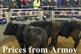 Armoy Mart