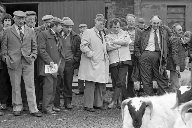 Watching the judge of pedigree Blackface sheep at the breed show and sale at Ballymena in October 1982. Picture: Farming Life/News Letter archives