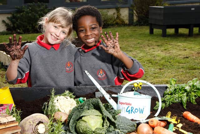 Helping to launch the SuperValu and GIY “Let’s GROW” initiative are students Olivia Wall (8) and Kendrick Bhekizulu (7) at Solas Chríost National School in Tallaght – the food growing project enables school children across Ireland to grow their own food in the classroom this spring using free growing packs which will be distributed by GIY and SuperValu. Schools across the country are encouraged to register online at www.supervaluletsgrow.ie to receive a free classroom growing kit.  Photograph: Leon Farrell/Photocall Ireland