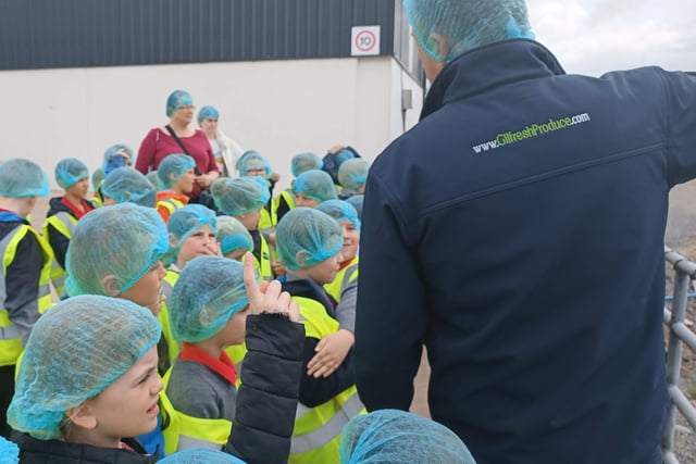 Pupils from Hardy Memorial Primary School pictured during their recent visit to Gilfresh Produce.
