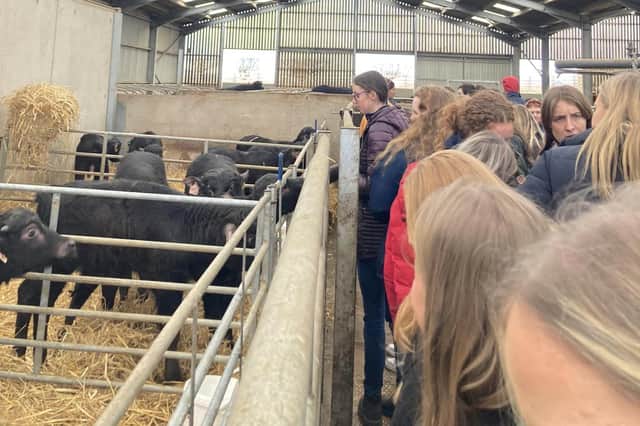 Randalstown YFC members taking a tour of The Buffalo Farm