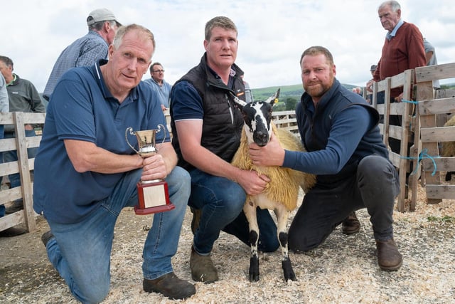 Mule sheep class winners Eugene Lagan, Eoghan Lagan and Alwyn McFarland, judge, at the Alexander Gourley open air sheep show and sale at Aghanloo on Tuesday morning. Photo Clive Wasson