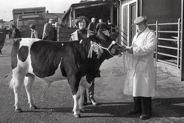 Pictured in February 1992 is John Kearney with the Friesian champion of Neal McErlean, Portglenone at the Co Antrim Agricultural Society's spring show and sale at Ballymena. Picture: Farming Life/News Letter archives