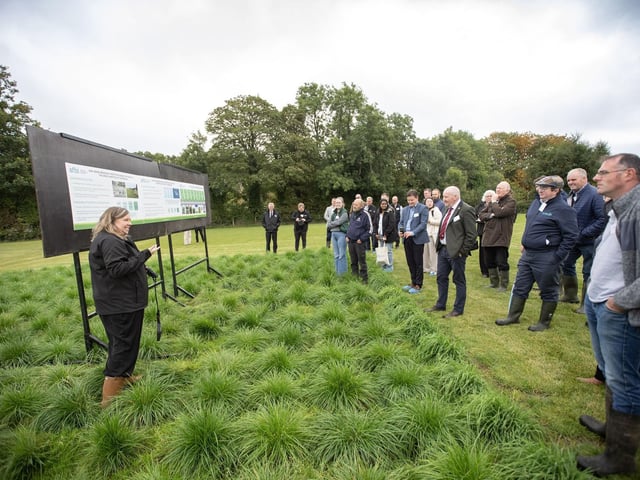 Dr Gillian Young speaking about her grass breeding work