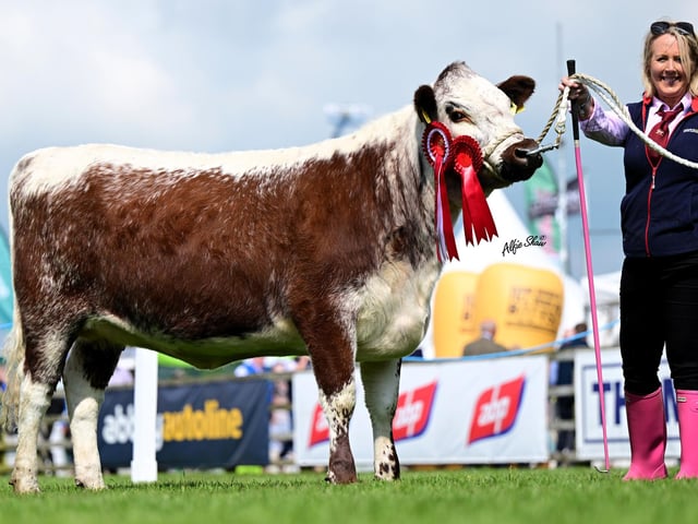 Reserve Female Champion 'Burren Royal Pandora' exhibited by N & M Moilies (Nigel Edwards & Michelle McCauley)