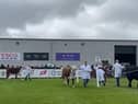 The judging in the cattle sections of the show got underway at the Balmoral Show this morning