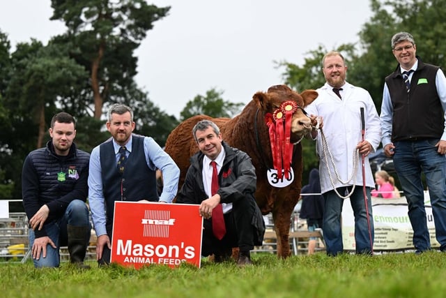 Eamon McGarry exhibited the intermediate, male and supreme overall champion Jalex Transform on behalf of James Alexander, Randalstown. Adding their congratulations are Darryl Geary, NI Limousin Club; judge Michael Burns, Mayboyle; and sponsors Colin Purdy, Mason’s Animal Feeds and Oliver McDonald, Farm Compare. Picture: Agri-Images