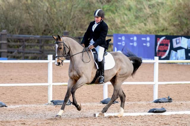 Denis Currie riding Troy, winners of the Novice Dressage