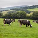 Tirlán launches €1.7m support package for milk suppliers.