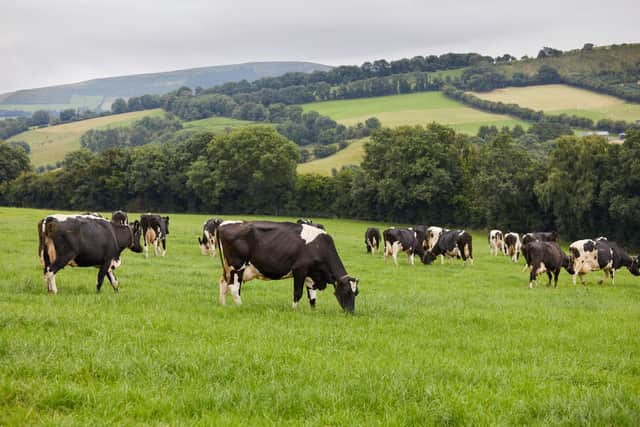 Tirlán launches €1.7m support package for milk suppliers.