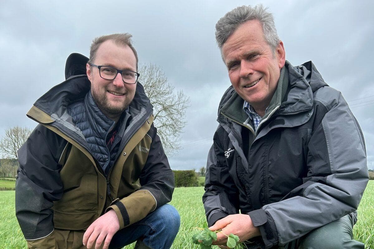 AgriSearch to hold Augher Farm Walk on Red Clover Establishment - Vimarsana News