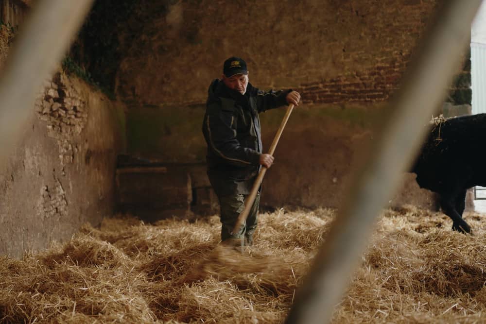 Working alone on the farm