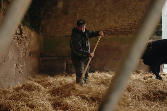Working alone on the farm