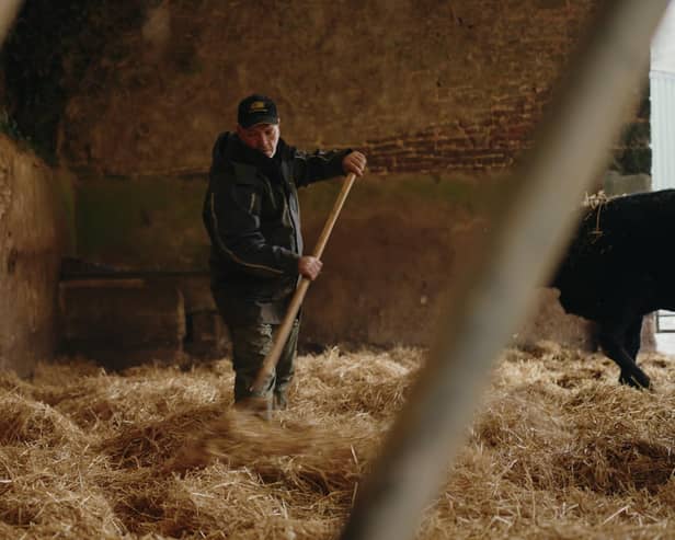Working alone on the farm