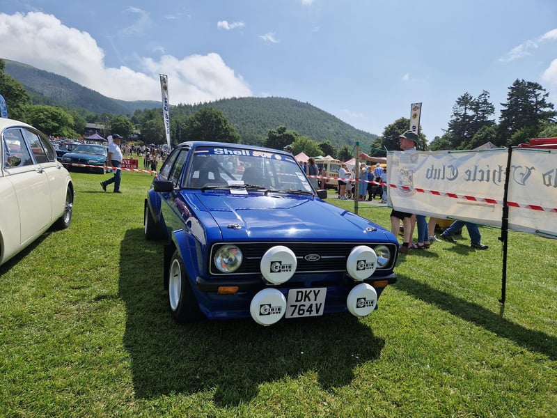 One of the vehicles at this year's Kilbroney Vintage Show which was held at Kilbroney Forest Park, Rostrevor. Picture: Darryl Armitage