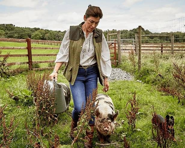 Christine Lynn tending to pet pigs Martha and Dolly on the Finnebrogue Estate farm. Picture: Finnebrogue Estate