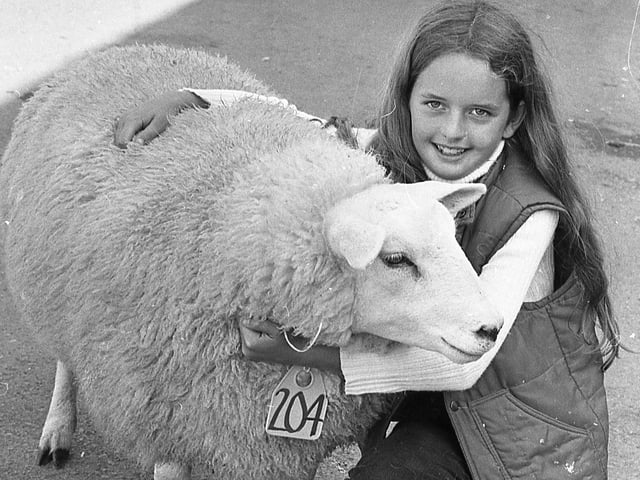This collection of old photos is from 1981.