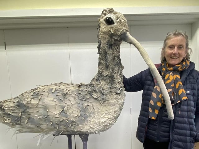 A final call has been issued to nominate the north England’s curlew conservation heroes. Entries for the North of England Curlew Conservation Awards close on 21 July, with the award ceremony taking place at Masham Town Hall on 18 August.