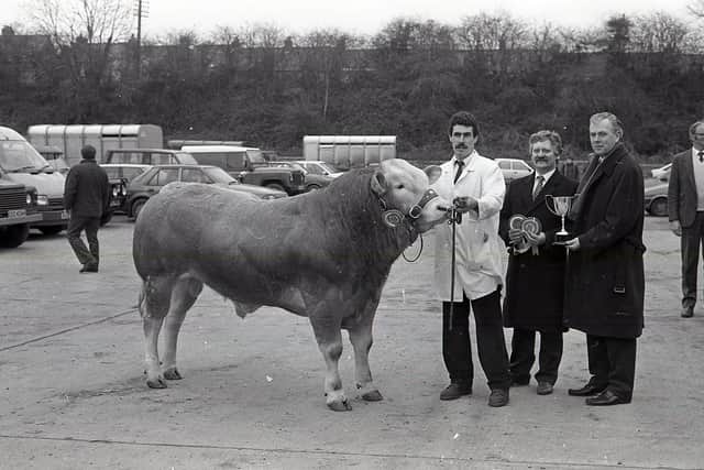 Pictured in February 1992 are Tony Johnston, right, manager, Northern Bank, Portadown, and his deputy manager, Roy Hodgen, present a cup and cheques to Noel McCarey of Saintfield, who won the championship with Brookfield Felix at the Blonde d’Aquitaine show and sale in the Automart, Portadown. Picture: Farming Life/News Letter archives