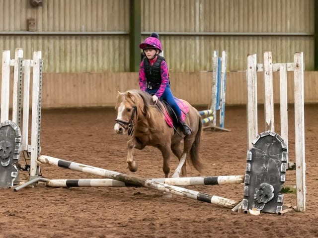 Cross poles winners Mya McKay and Glitter. (Pic: Equi-Tog)