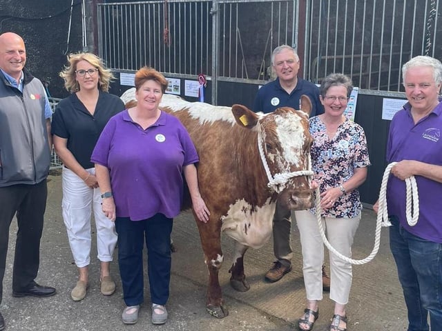John McLenaghan and William Irvine from the Ulster Farmers’ Union are pictured at Laurel View farm, Templepatrick with Robert and Linda Davis. Pic: PulsePR