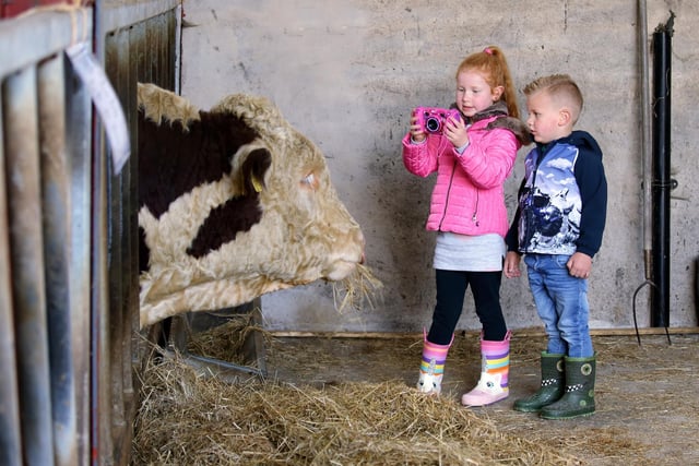 Olivia and Reuben McCall, from Madden, practicing their photography during the Hereford open day at Glenn Morton's farm, Long Nancies. Picture: Cliff Donaldson