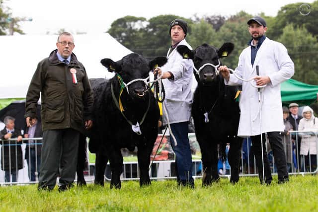 Champion pair were Home Farm Erne Y802 and Home Farm Lady Heather Y743 shown by Fintan and Donal Keown, Belleek. Included is judge Ian Watson. Picture: David Porter. Mullagh Photography