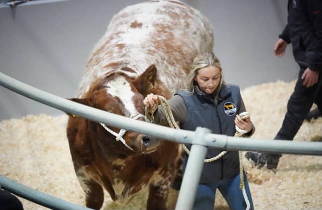 Lot 15 selling for £9600