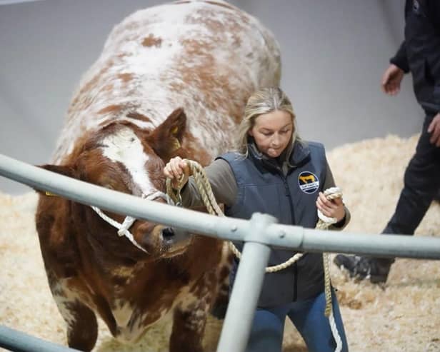 Lot 15 selling for £9600