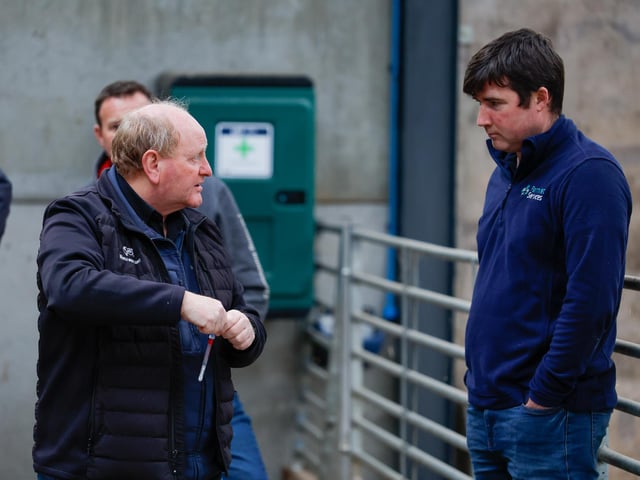 Vets Dr Cook WWS & Patrick Finnegan FVS discussing calf hygiene.
