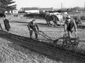 They had been ploughing straight furrows at Groomsport, Co Down, at the end of January 1992. Competitors from all over the province showed of their expertise at the Newtownards Young Farmers’ Club ploughing match. Pictured is Leslie Bell from Moneyrea and Sammy Jackson at work in the horse ploughing section at Groomsport. Picture: Farming Life/News Letter archives