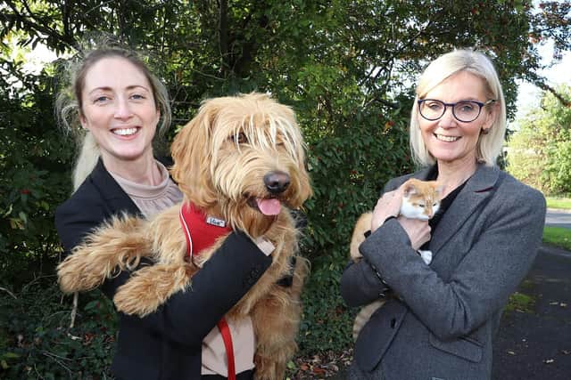 Pictured (l-r) are Gemma Daly, Deputy Chief Veterinary Officer, DAERA with Fergus the dog and Nora Smith, CEO of the USPCA with Charlie the cat. Both pets have been recently rehomed by the USPCA. Pic: Peter O'Hara Photography