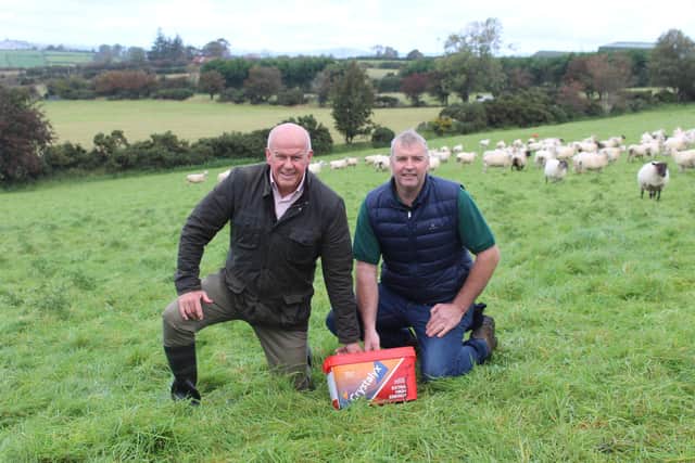 David Morgan (left) from Caltech-Crystalyx out on farm with Hilltown sheep producer, Colum Woods, earlier this week.