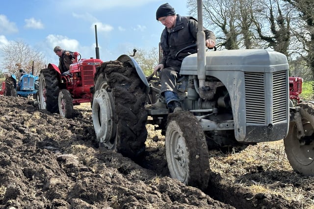 Last Saturday vintage ploughing took place at Ballydown Banbridge in field belonging to Ernie Mathers. Pictured taking part are Will McFadden followed by Davy Grattan