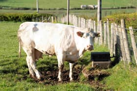 Farmers across Northern Ireland have been thanked by NI Water for helping reduce pressure on the water network during recent periods of exceptionally high demand.