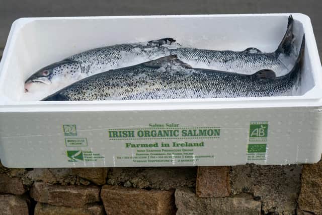 Cill Chiarain salmon product ready for distribution. Picture: Submitted