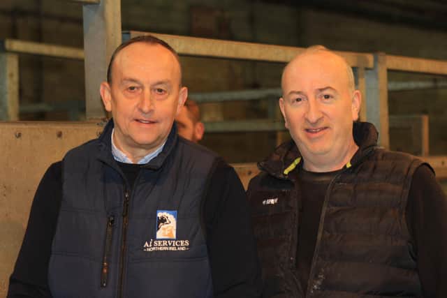 Pictured at the Dungannon Dairy Sale are Roy Irwin, Armagh, and Ivan Minford, AI Services (NI) Ltd. Picture: Julie Hazelton