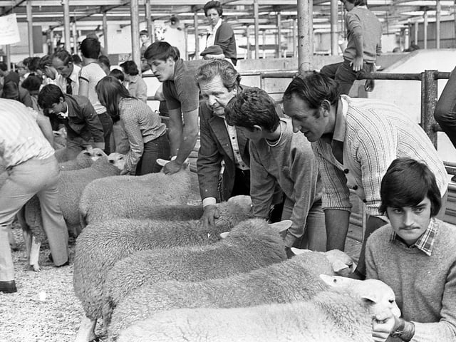 This collection of old photos is from 1981.