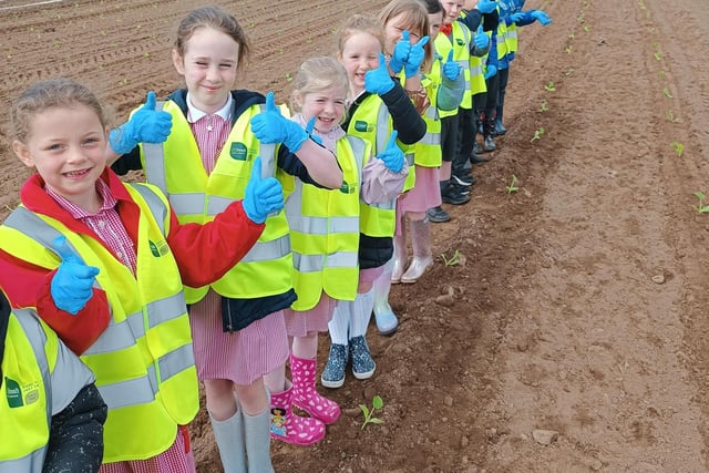 Pupils from Hardy Memorial Primary School pictured during their recent visit to Gilfresh Produce.