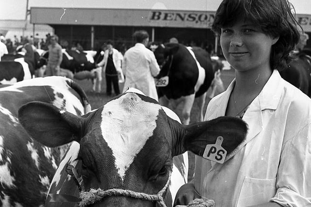 Twenty-year-old Libby Sufferin from Crumlin with her father and uncle’s first prize winning heifer Ballyclan Snowgem at the Ballymena Show in June 1982. Picture: Farming Life/News Letter archives